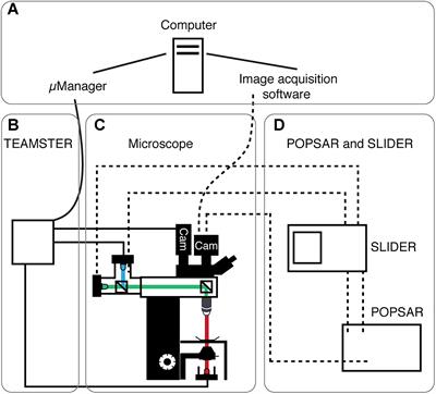 A Versatile and Open-Source Rapid LED Switching System for One-Photon Imaging and Photo-Activation